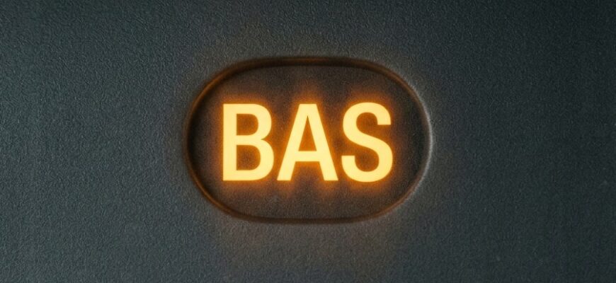 Жёлтая надпись BAS на приборной панели (Brake Assist)