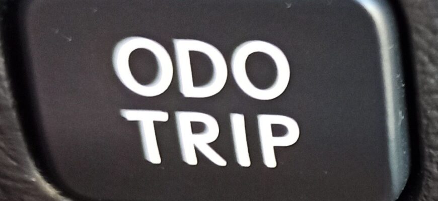 Кнопка ODO TRIP на панели Lexus